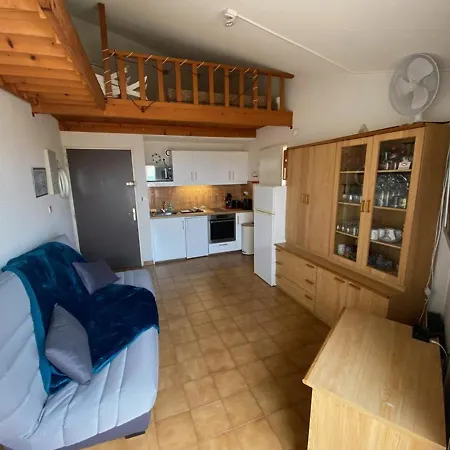 Climatise 2 Pieces Avec Solarium Pour 4 Personnes, Parking Prive, Proche - Fr-1-335-166 *